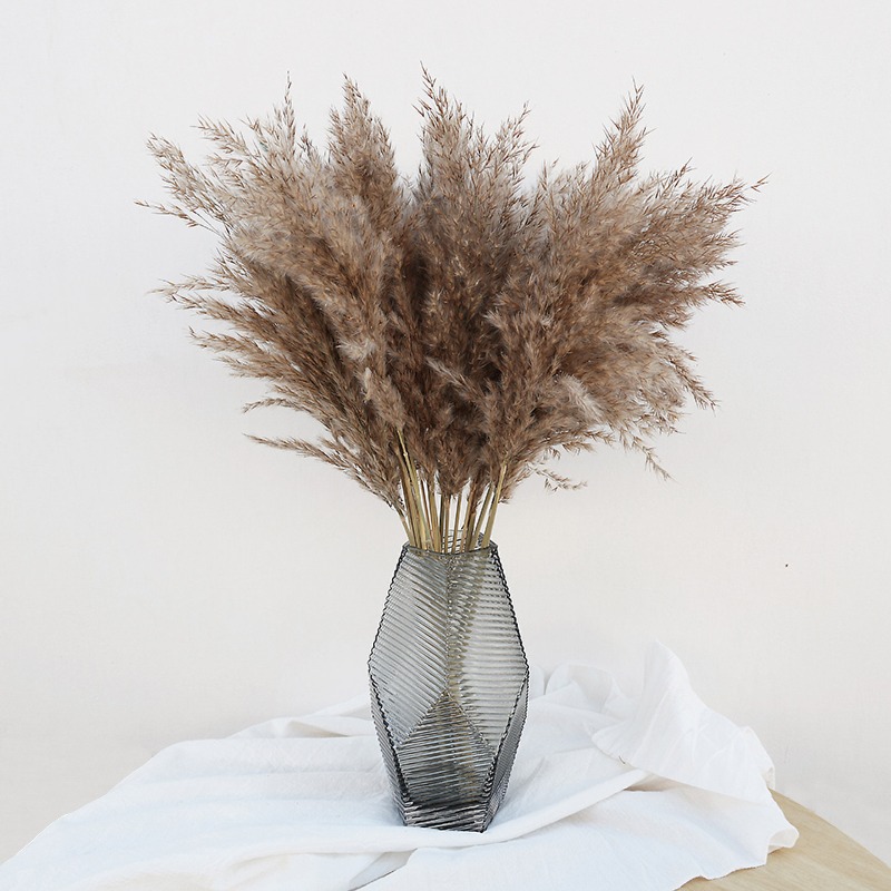 10Pcs Colorful Natural Reeds P - Outdoor Furniture Decor 评论和价格